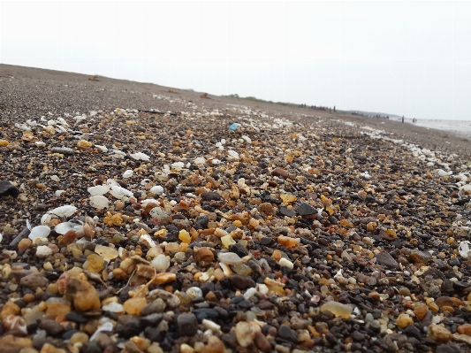 Sea outdoor sand rock Photo