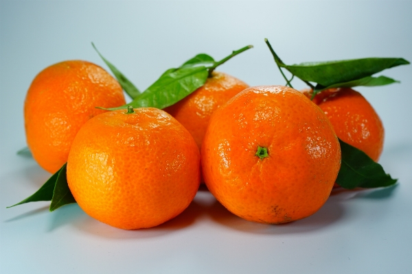 Plant fruit orange food Photo