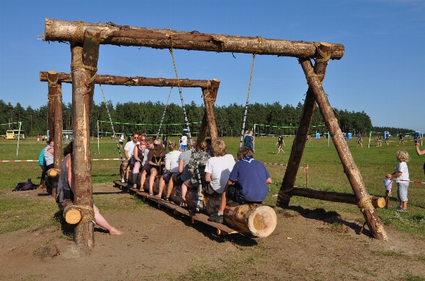 Nature outdoor wood play Photo