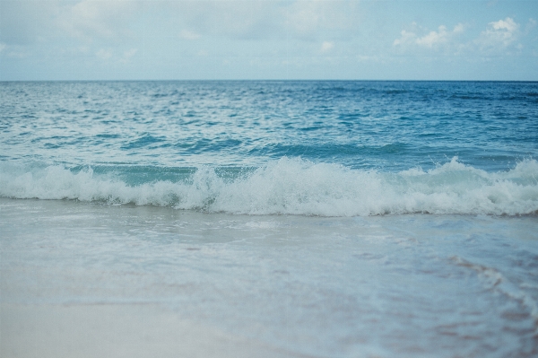 Beach sea coast water Photo