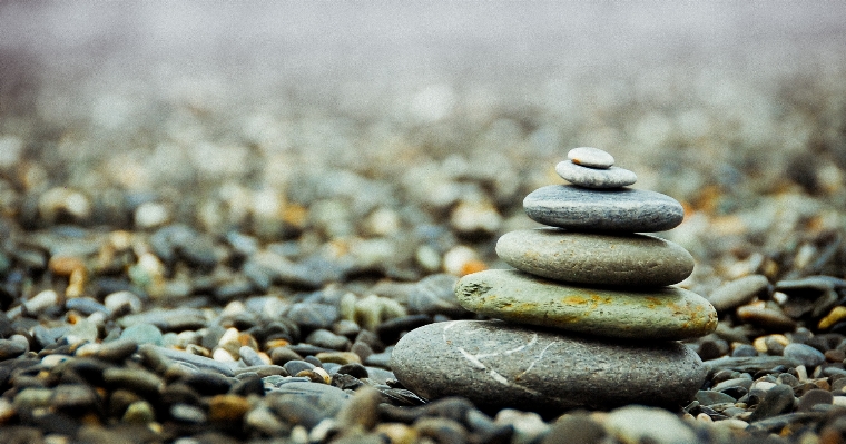 Nature grass sand rock Photo