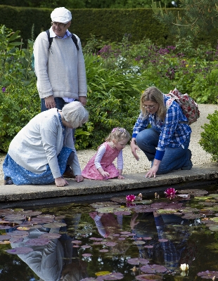 Photo Personnes fleur cérémonie reflets
