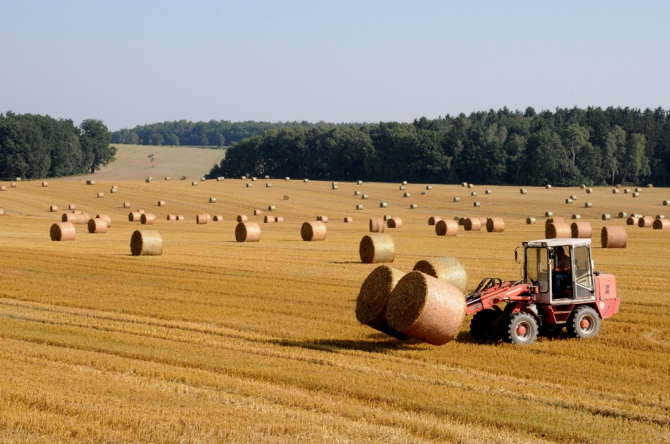 Landschaft heu traktor feld