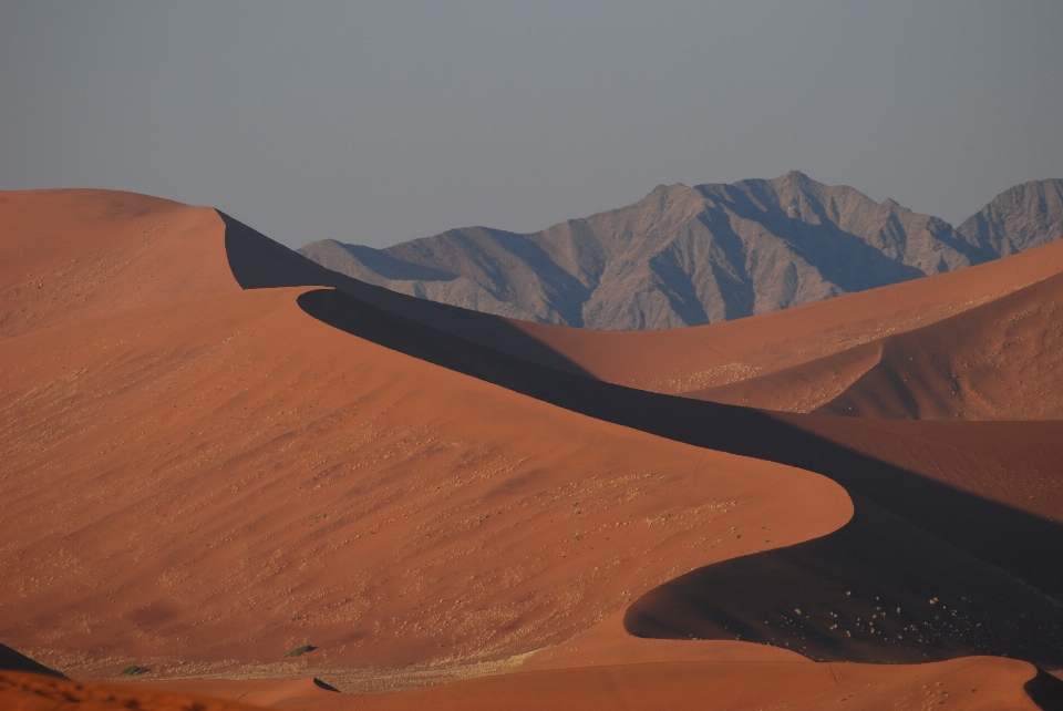 Landschaft natur sand wüste