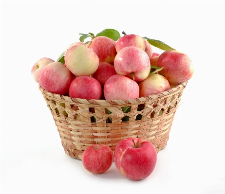 Apple plant fruit food Photo