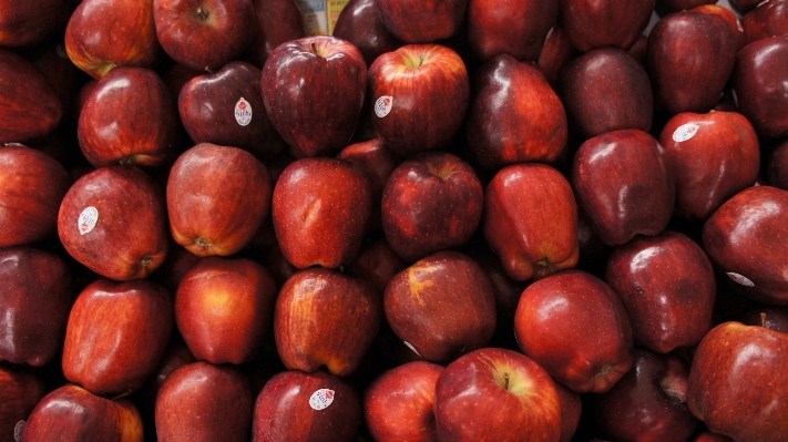 Plant fruit food red Photo