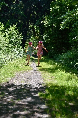 Foto Foresta a piedi ragazza sentiero