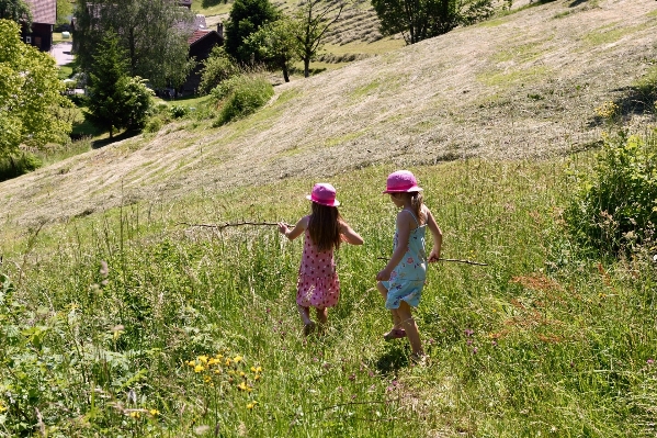 Nature grass wilderness walking Photo