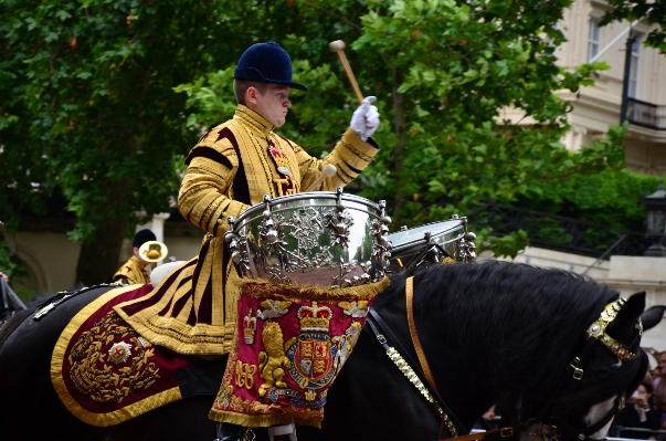 Person music band horse Photo