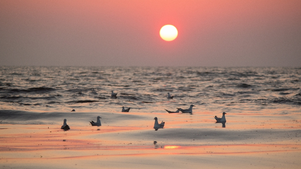 Pantai lanskap laut pesisir