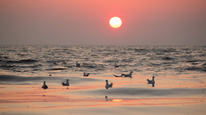 Beach landscape sea coast Photo