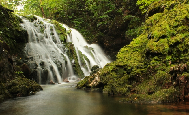 Landscape water nature forest Photo