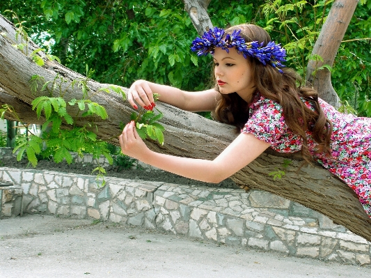 Baum natur menschen mädchen Foto