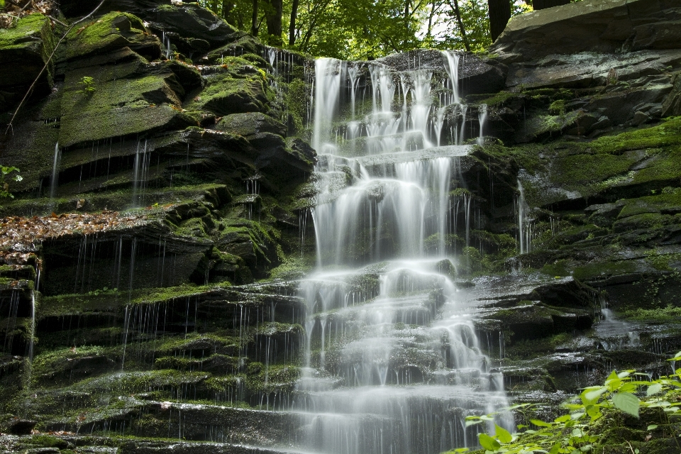 Wasser wald rock wasserfall