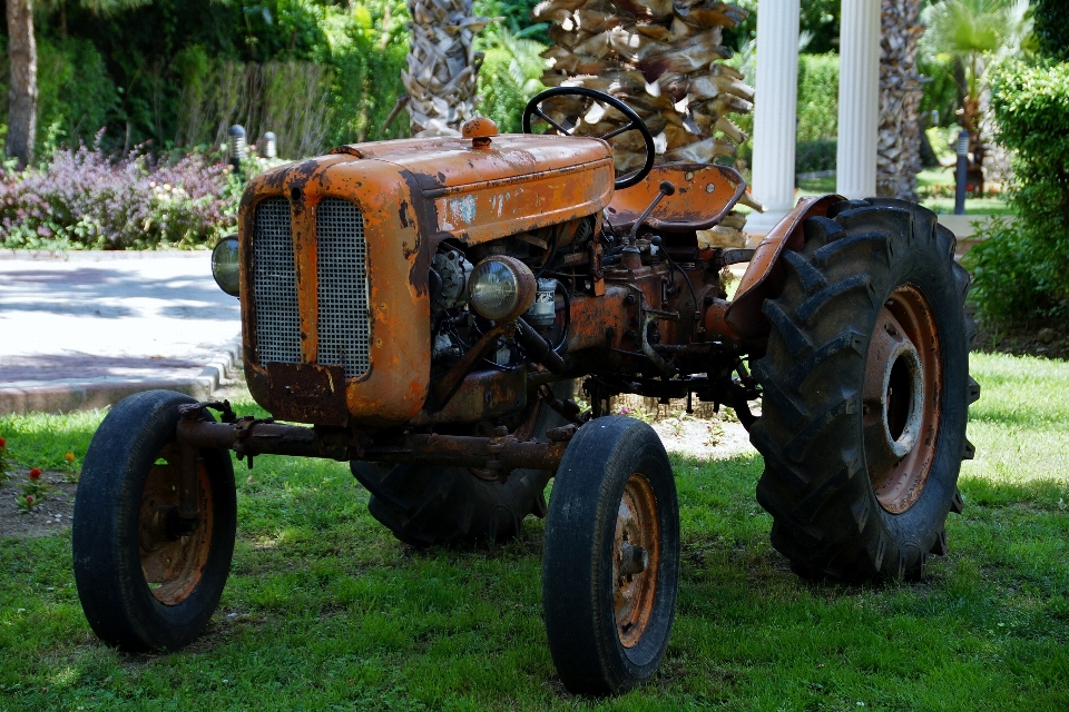 Tractor field farm wheel