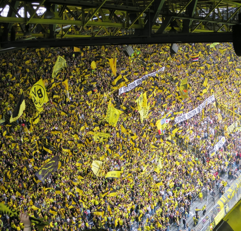 Blatt blume botanik
 fußball