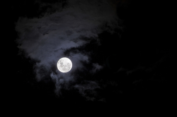 Foto Alam hitam dan putih
 langit malam