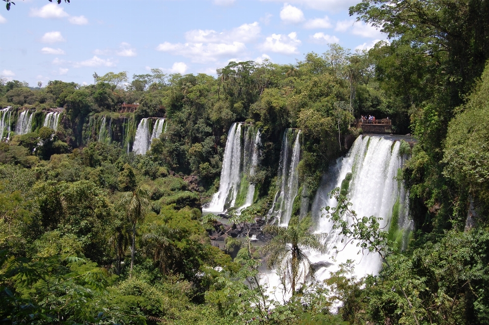 Wasser wasserfall dschungel szenisch