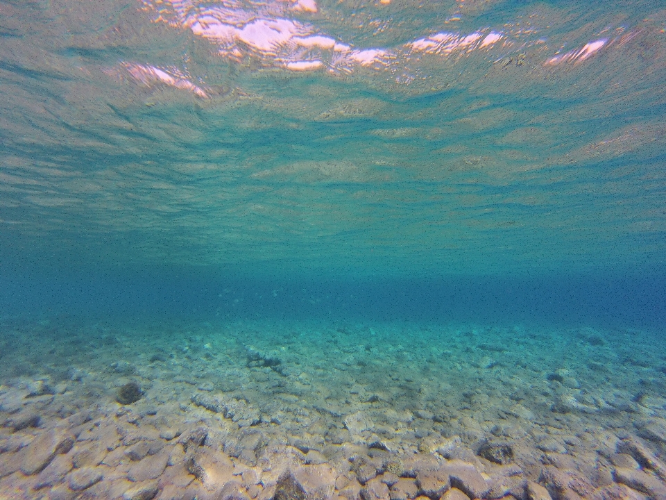 Mare costa acqua natura