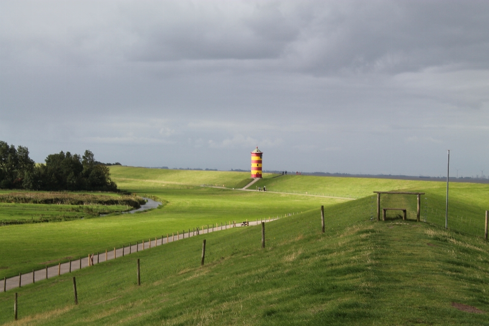 Paysage nature herbe le marais
