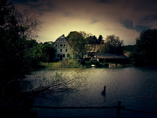 Landscape tree water nature Photo