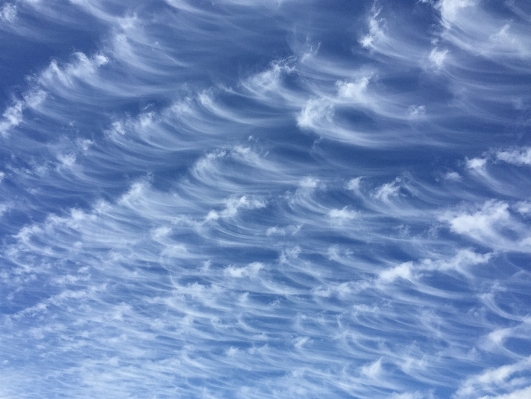 Nature horizon light cloud Photo