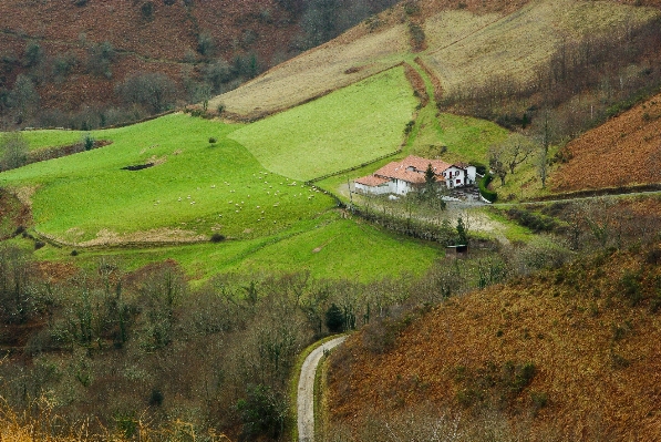 Landscape wilderness mountain farm Photo