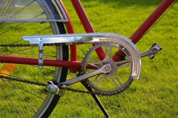 Wheel chain old bicycle Photo