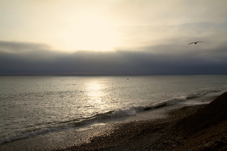 Beach sea coast water