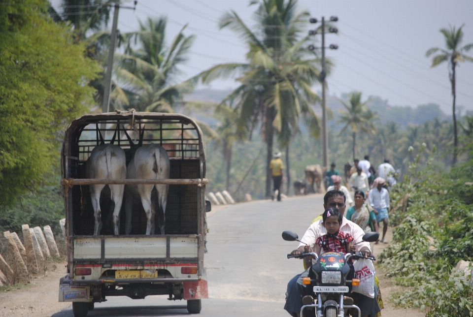 Road traffic transport vehicle