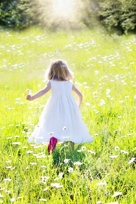 Nature grass field lawn Photo