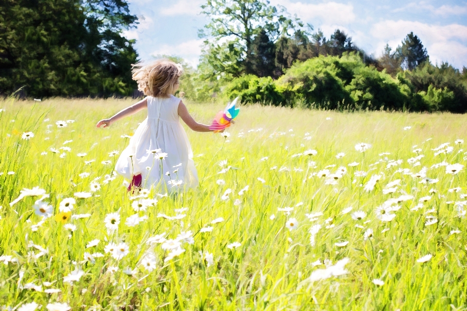 Nature grass plant field