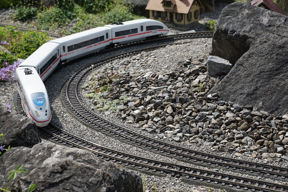 Nature track railway train