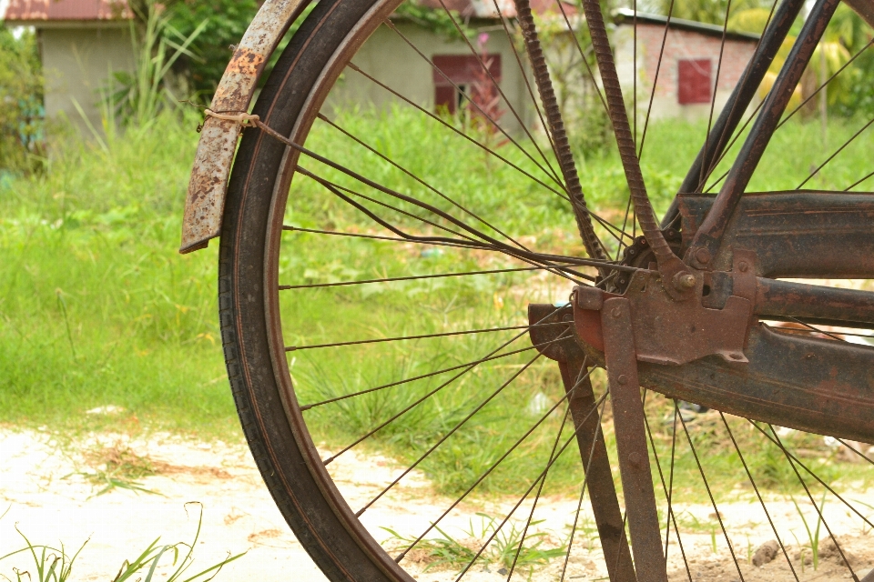 Roue vieux vélo véhicule