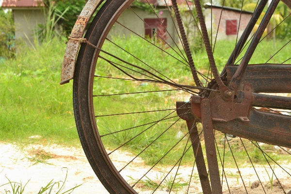 Foto Roda tua sepeda kendaraan