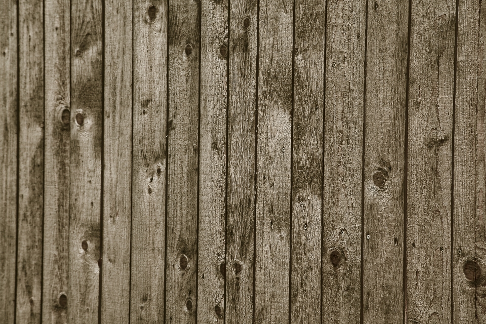 Fence wood grain texture