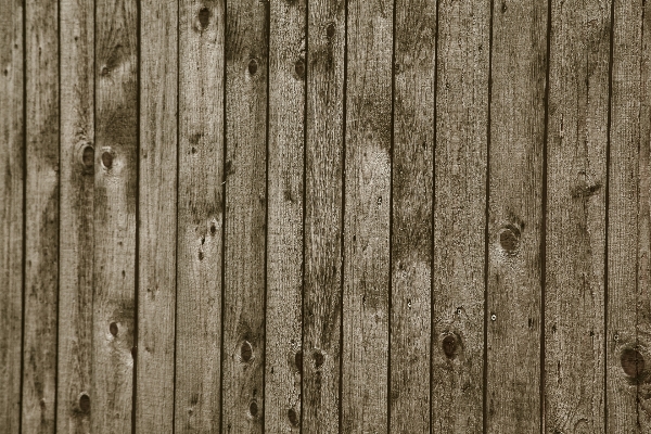 Fence wood grain texture Photo