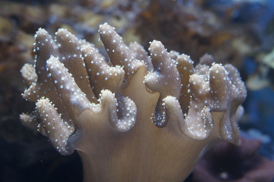 海 水 海洋 水下