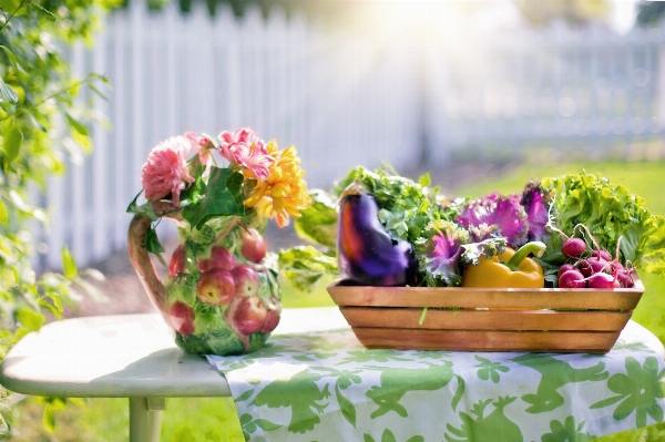 植物 花 夏 食事 写真