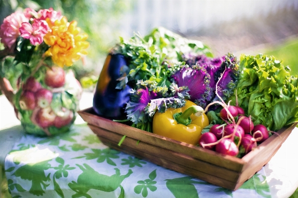 Anlage blume sommer mahlzeit Foto