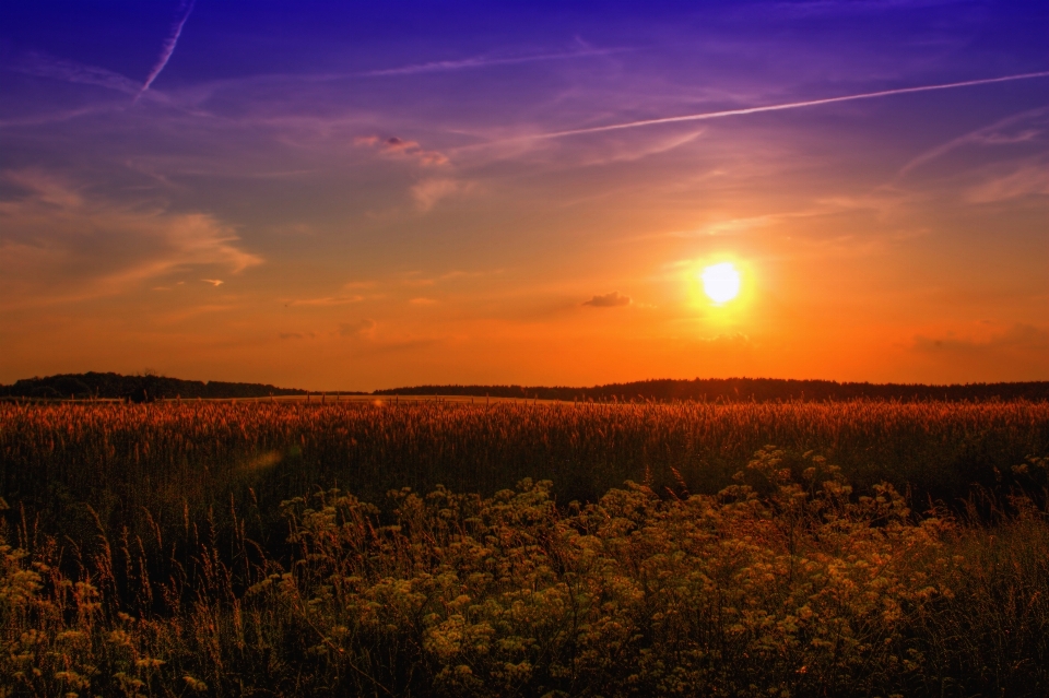 Landscape nature horizon cloud