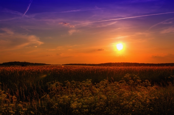 Landscape nature horizon cloud Photo