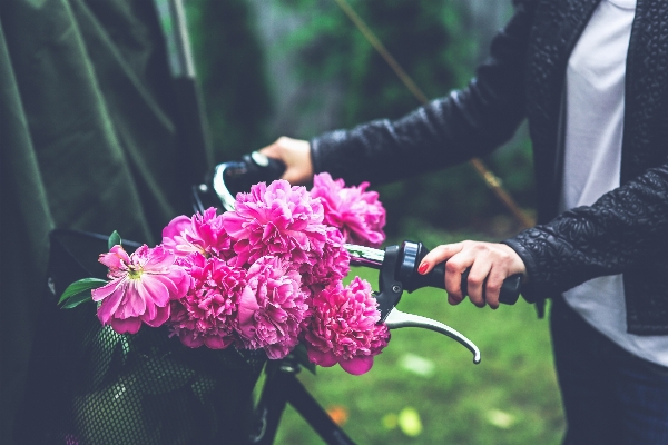 People plant girl woman Photo