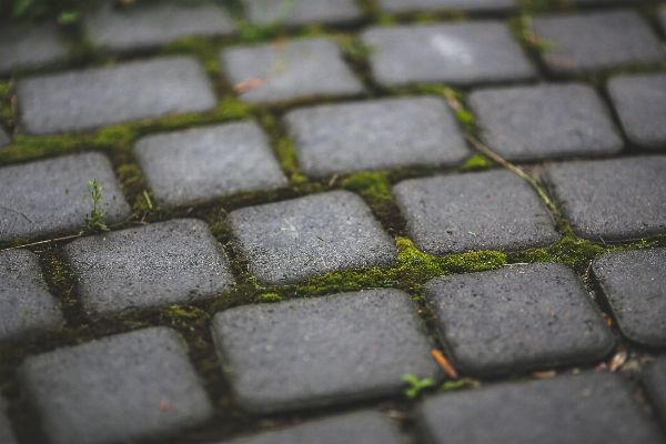 Grass sidewalk floor roof Photo