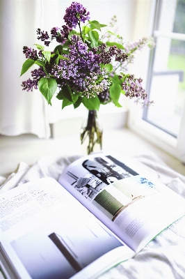 Foto Libro pianta fiore viola