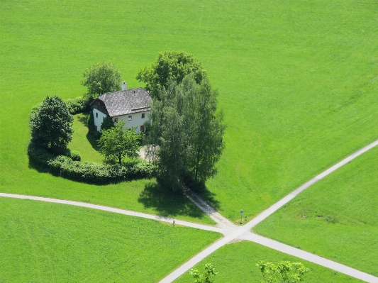 Landscape tree grass structure Photo