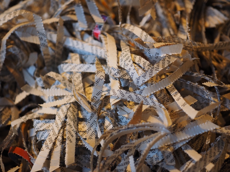 Baum zweig holz weiss