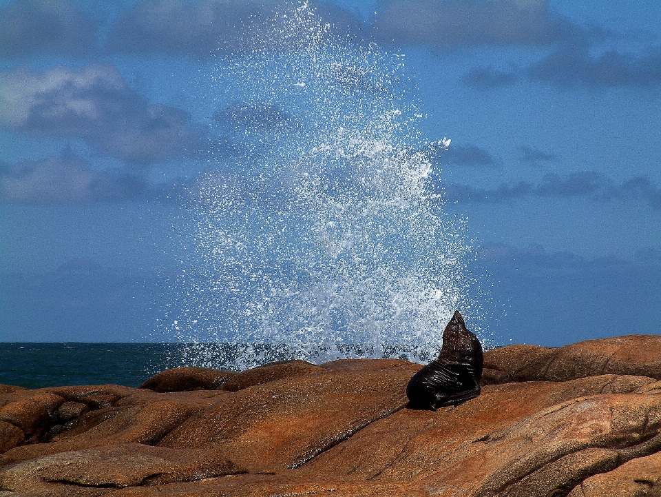 Beach landscape sea coast