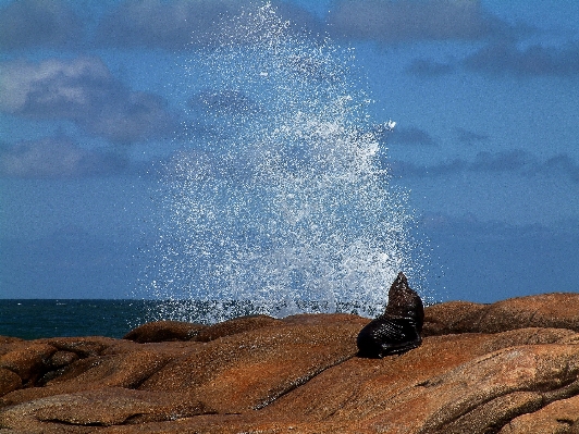 Beach landscape sea coast Photo