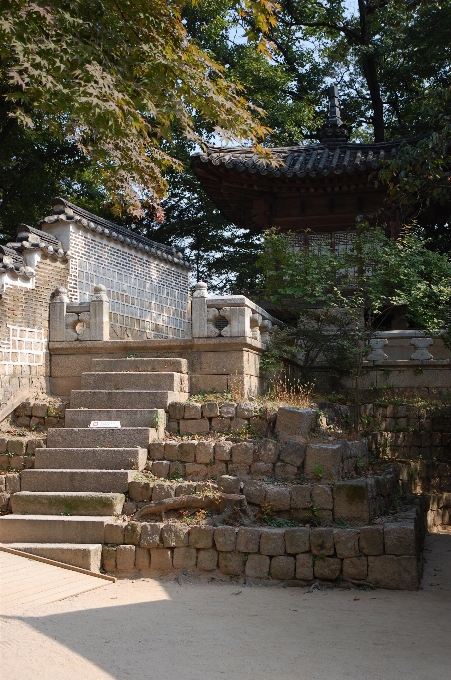 風景 自然 rock 家